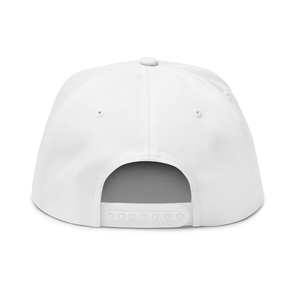 AKA Graffiti Embroidered Flat Bill Cap
