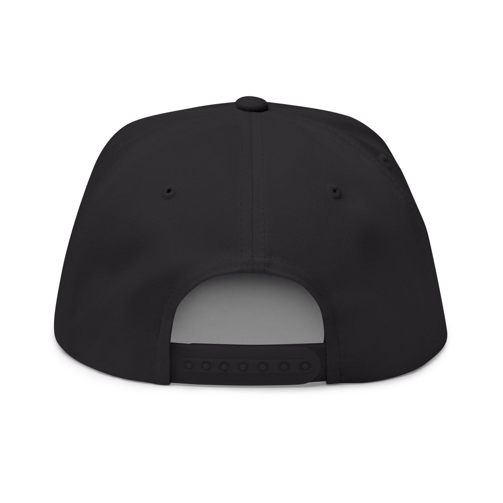 AKA Graffiti Embroidered Flat Bill Cap