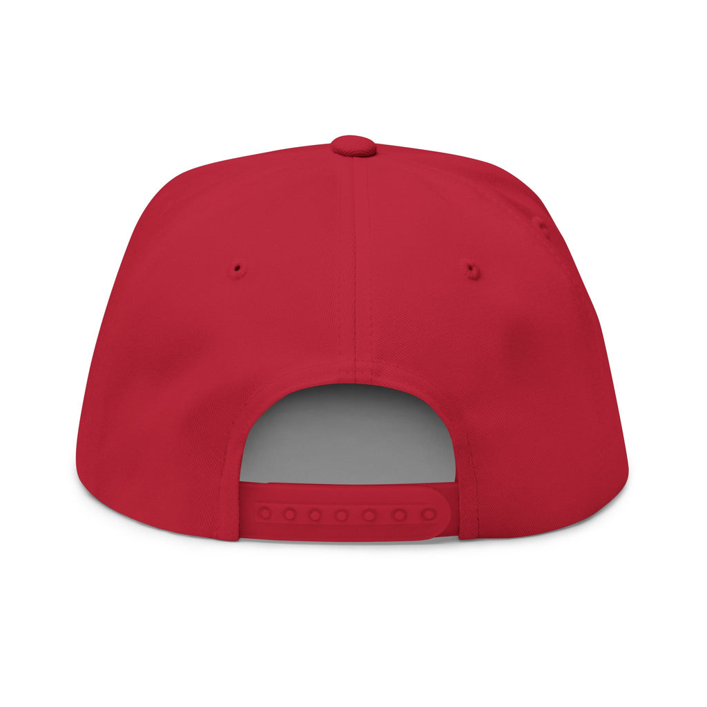 AKA Graffiti Embroidered Flat Bill Cap