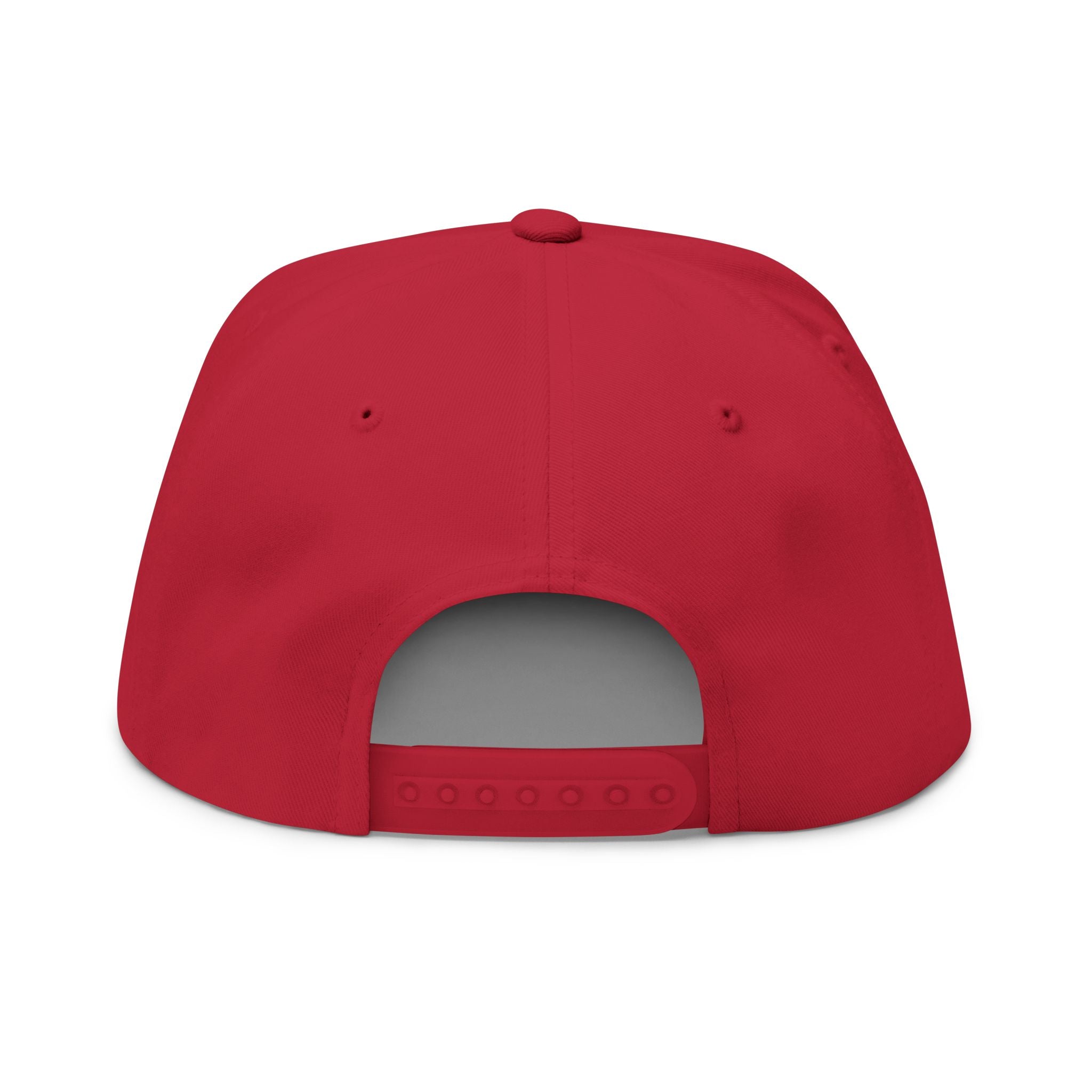 AKA Graffiti Embroidered Flat Bill Cap