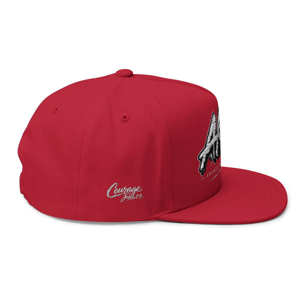 AKA Graffiti Embroidered Flat Bill Cap