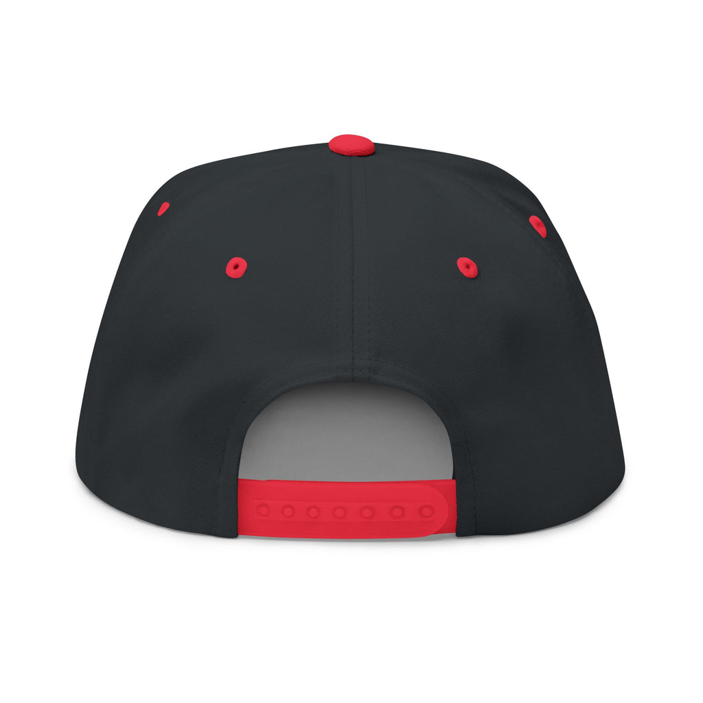 AKA Graffiti Embroidered Flat Bill Cap
