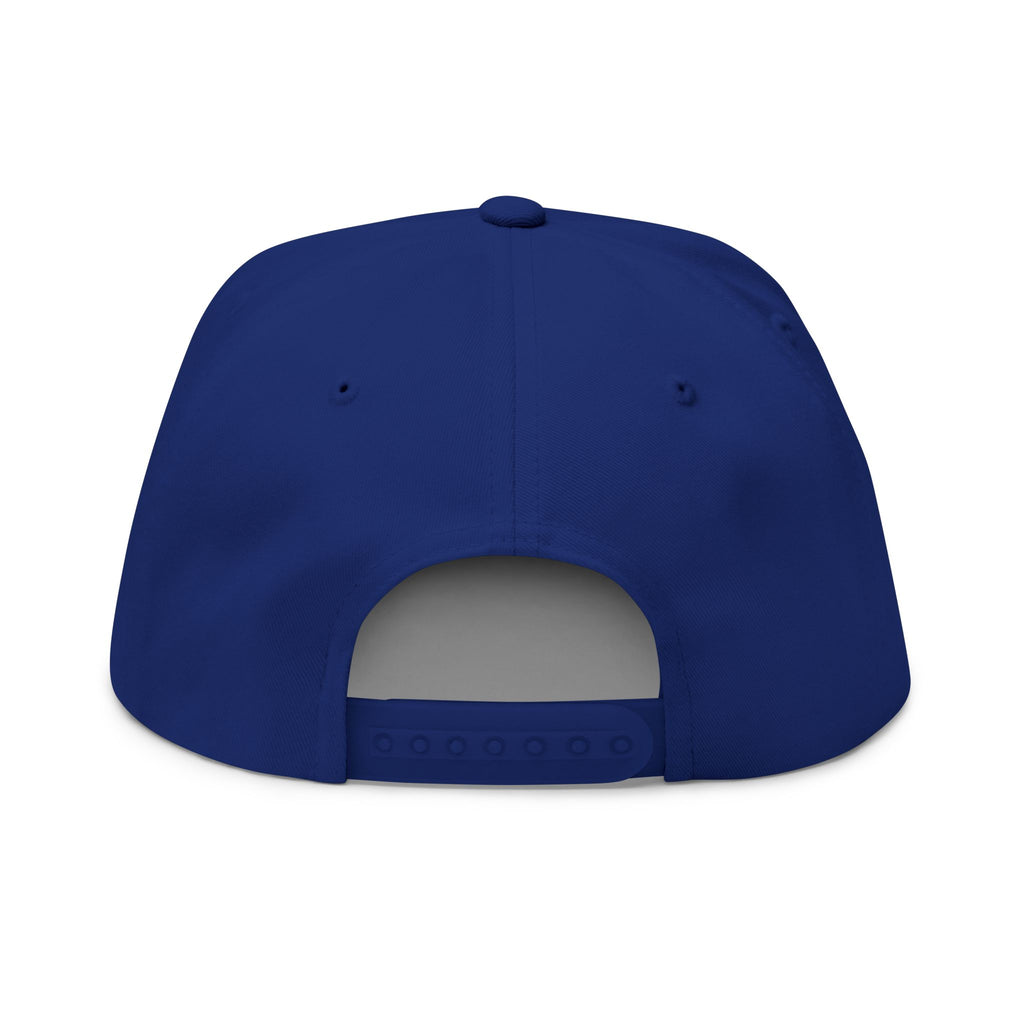 AKA Graffiti Embroidered Flat Bill Cap